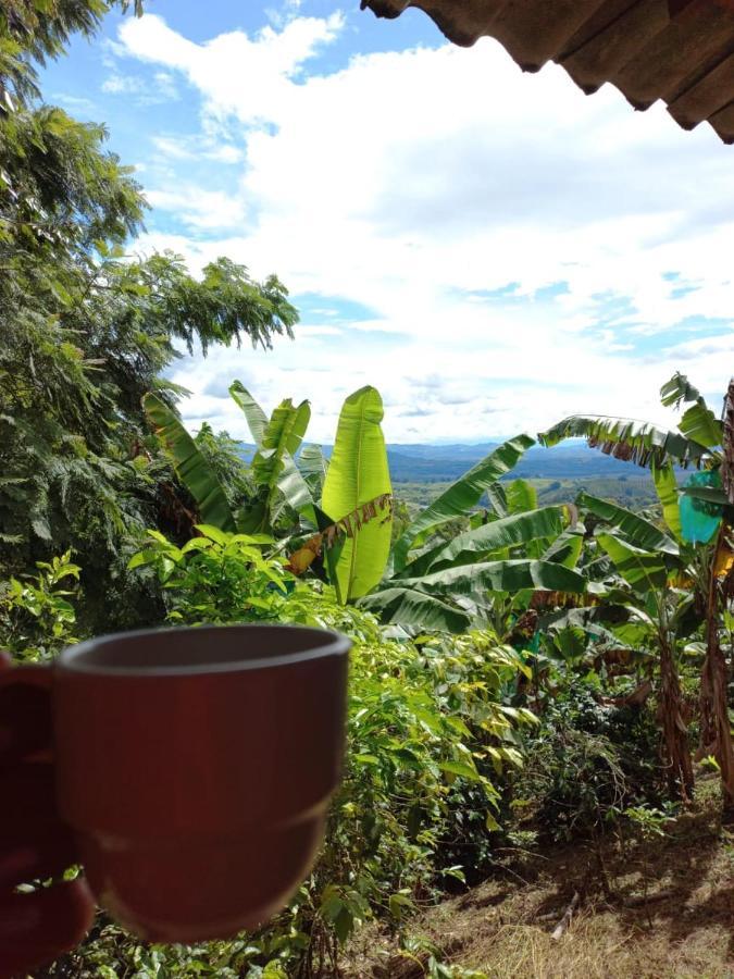 Гостевой дом Alojamiento Rural Cafe Yarumo Буэнависта Экстерьер фото